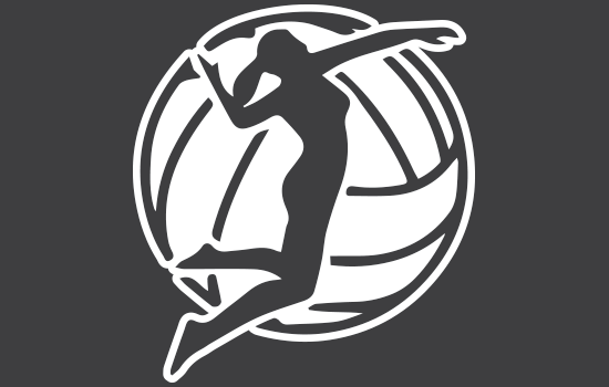 Aufkleber - VolleyballNegativ Aufkleber - VolleyballNegativ
